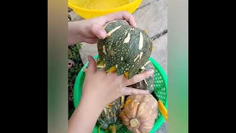 " Óc heo chưng bí " ăn tâm bổ sau những ngày bị cách li xã hội . #corona #ocheotrungbi