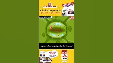 Abiotic Components | Learn Biology with Home Revise