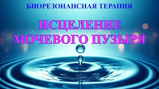 Мочевой Пузырь (Чистый Звук)💎Биорезонансная Терапия Брт🎧Bladder Healing💎Bioresonance Therapy Brt