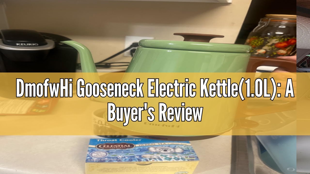DmofwHi Gooseneck Electric Kettle(1.0L) A Buyer's Review YouTube