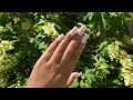 Chile, I Tried Doing My Nails With A Dip Powder Kit! WITH Tips!!!! | Modelones