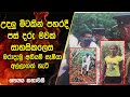 අනියම් පෙමක් බිලිගත් ජීවිතයක් | Real Explained Sinhala | Sinhala Movie Review