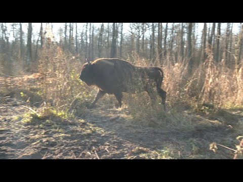 Туризм в зоне отчуждения