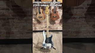 Bass Sound 02 - Fender Precision Bass Steve Harris Signature