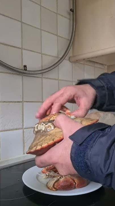 how to make Crab pate part 1 - YouTube