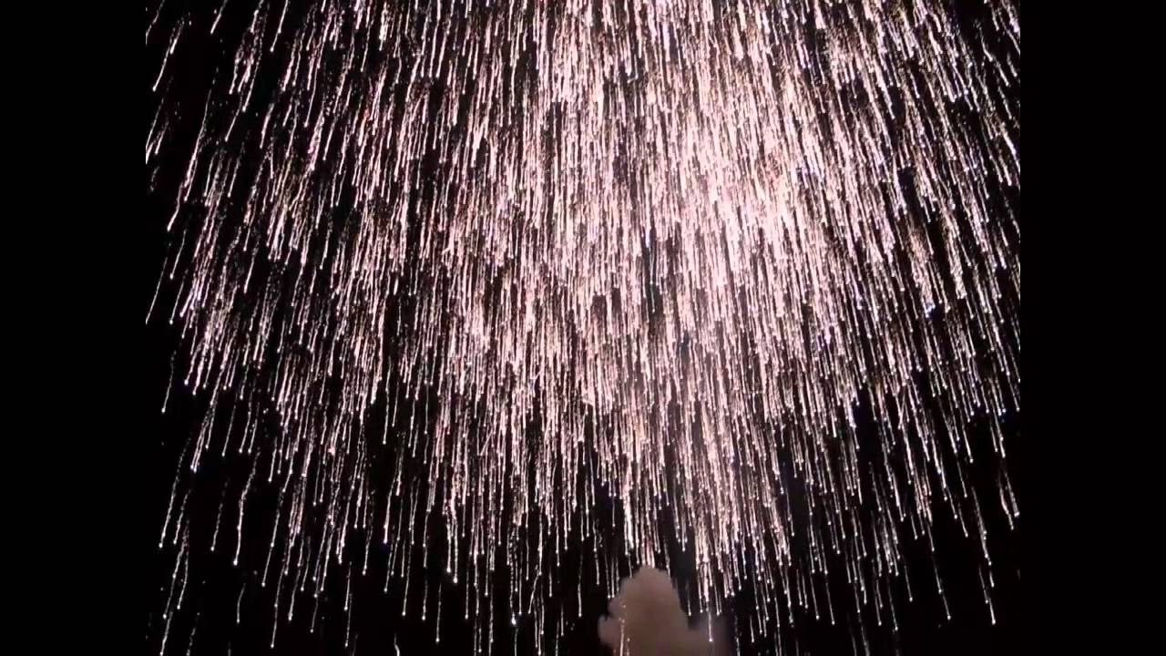 PALMERA DICIEMBRE 2012