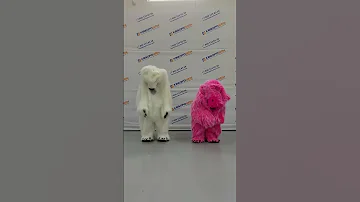 Как надеть костюм медведя 🤣 Парни жгут! Часть1 #белыймедведь #розовыймедведь