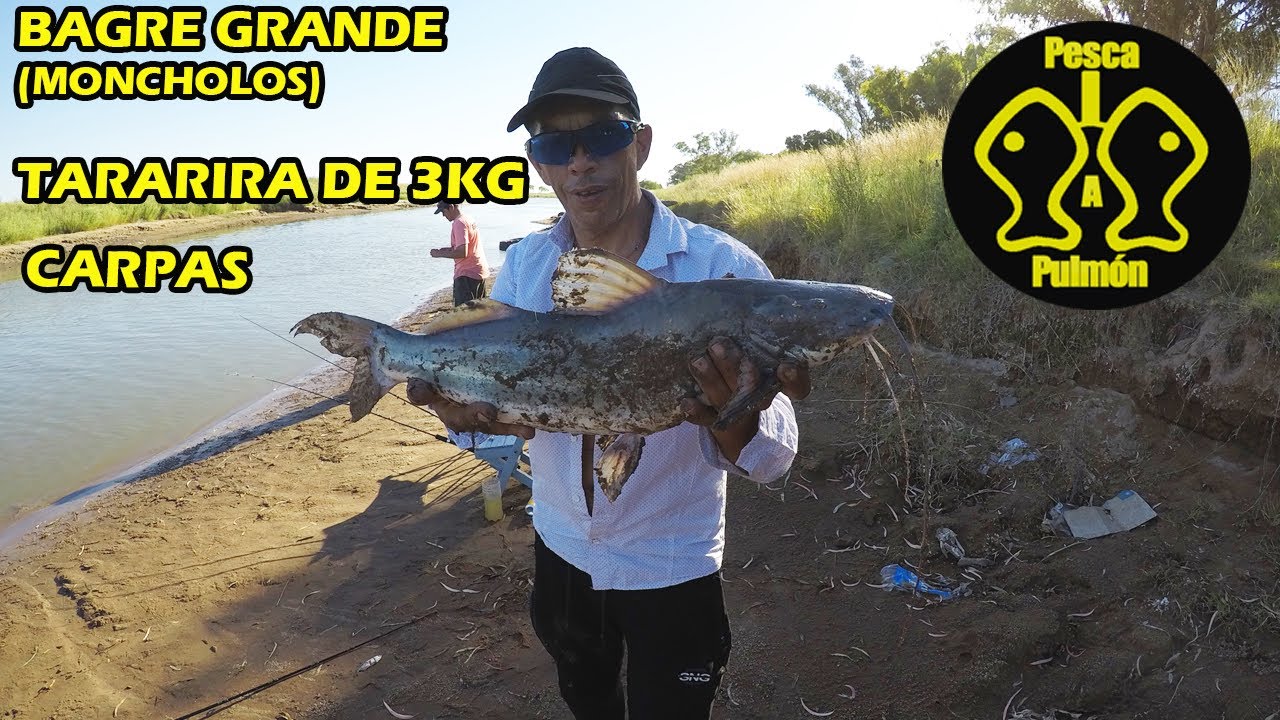 Increible Pesca En El Arroyo Youtube Increible Pesca En El Arroyo Youtube