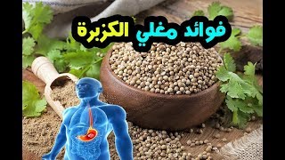 فوائد مغلي الكزبرة فوائد الكزبرة صيدلية عجيبة من الفوائد الصحية !! سبحان الله