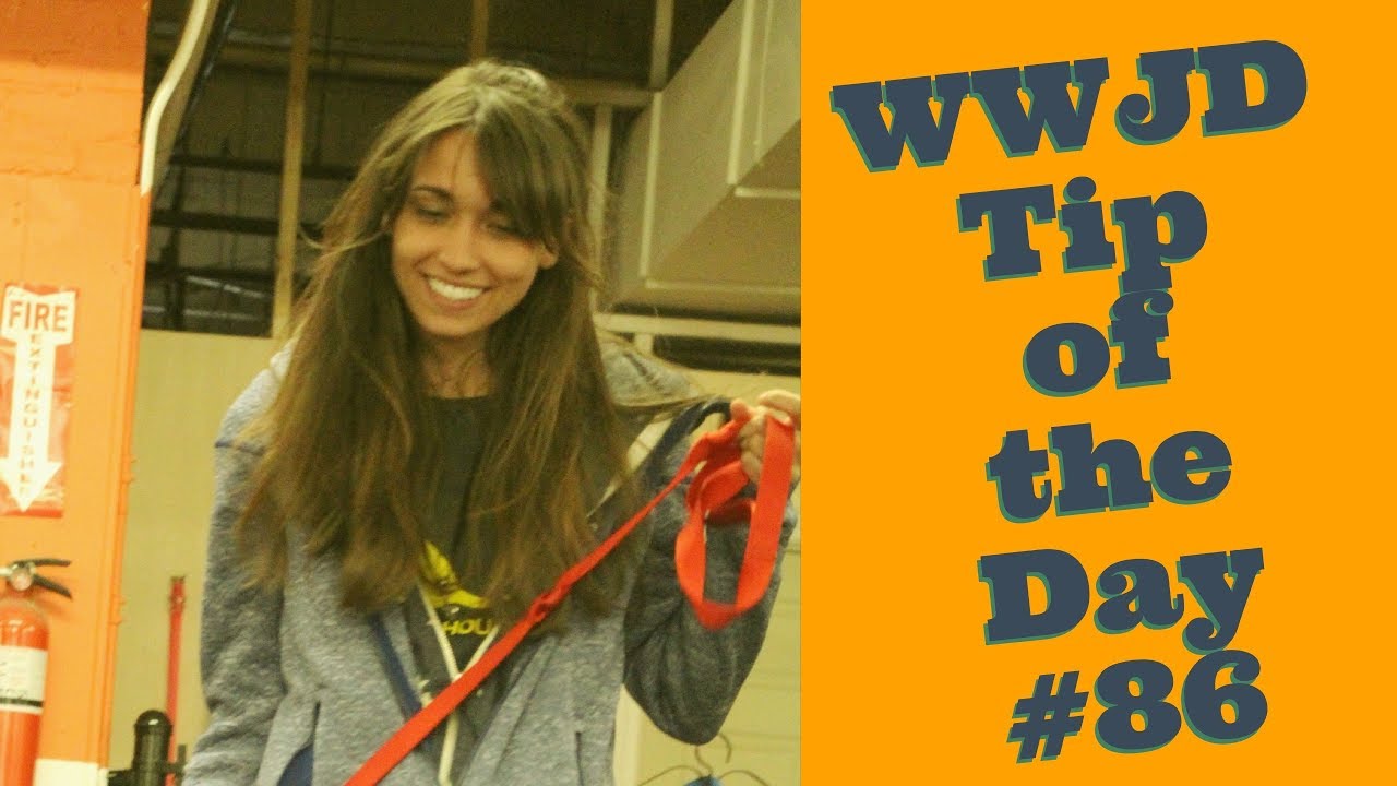 dog training advice uk Give away what you know for free, What Would Jeff Do? Dog Training Tip of the Day #86