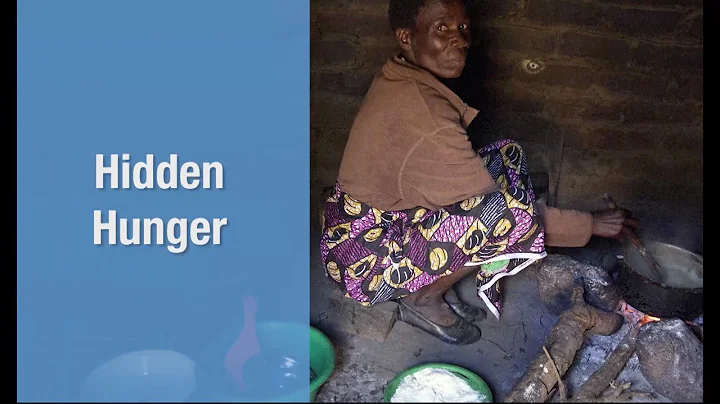 Sustainable Food Systems for Healthy Diets and Improved Nutrition