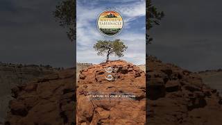 Kodachrome S24: If You're Overwhelmed...  #travel #naturetranquility #nature screenshot 5