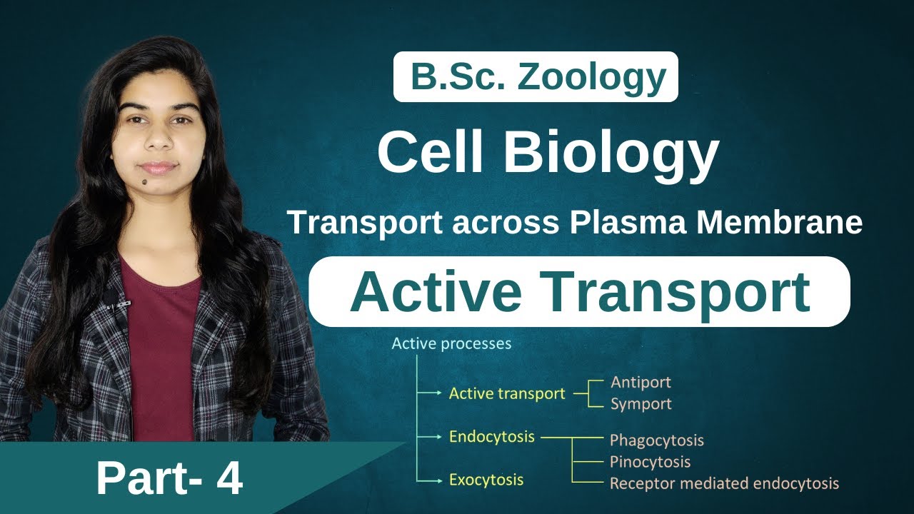 Cell Biology || Transport across Plasma Membrane || Active Transport || Zoology || B. Sc. || M.Sc.