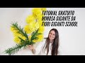 Tutorial Gratuito Mimosa Gigante da Fiori Giganti School