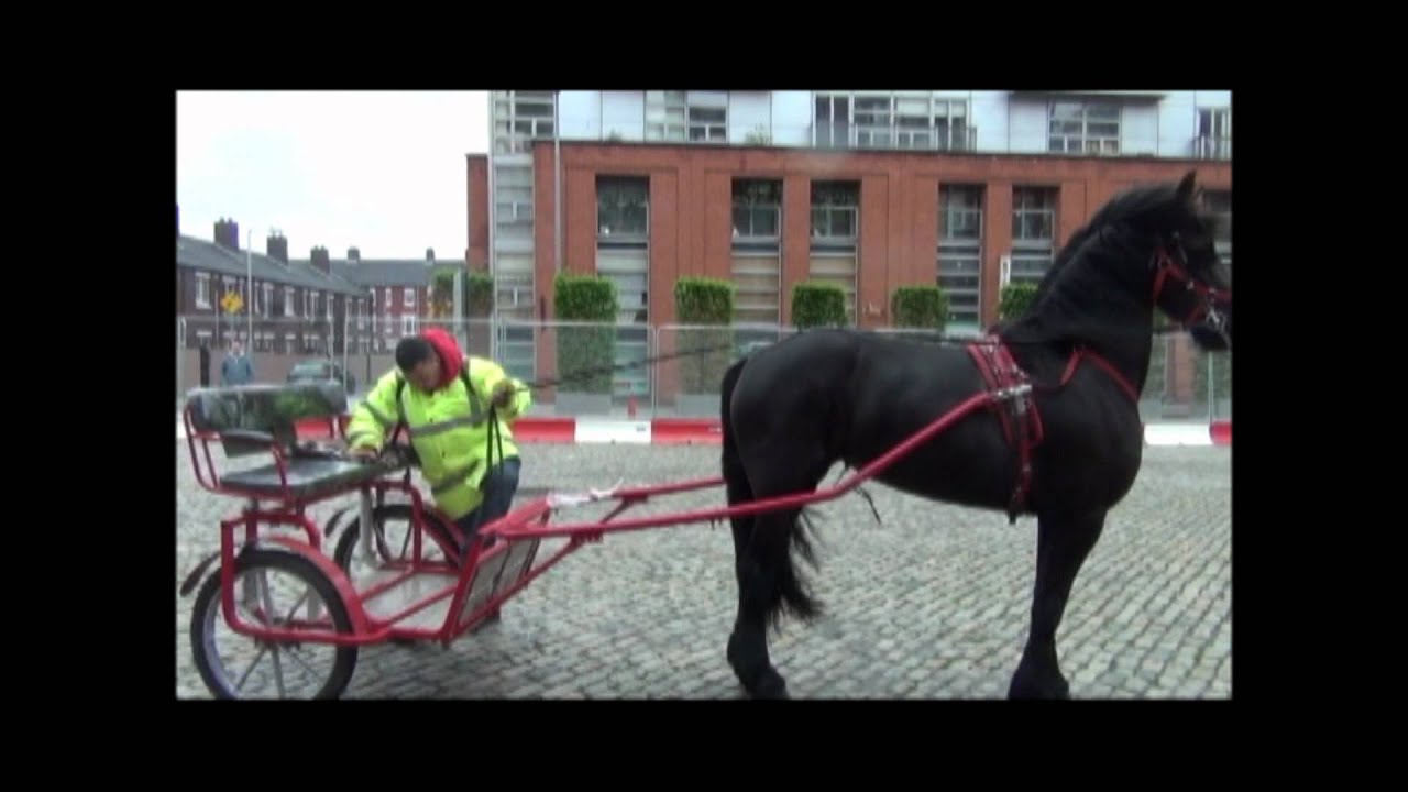  Smithfield Horse Fair  Don t Fence Me In YouTube