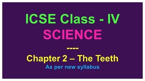 Chapter 2 The teeth - ICSE Class IV Science