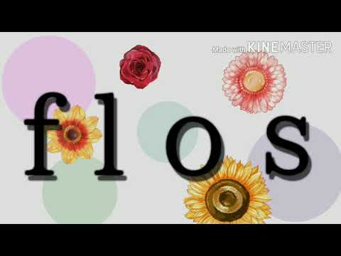 【東方改変PV】【説明欄】flos