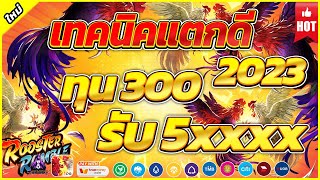 สมัครสล็อต สล็อตเว็บตรง เว็บตรงไม่ผ่านเอเย่นต์ : Rooster Rumble