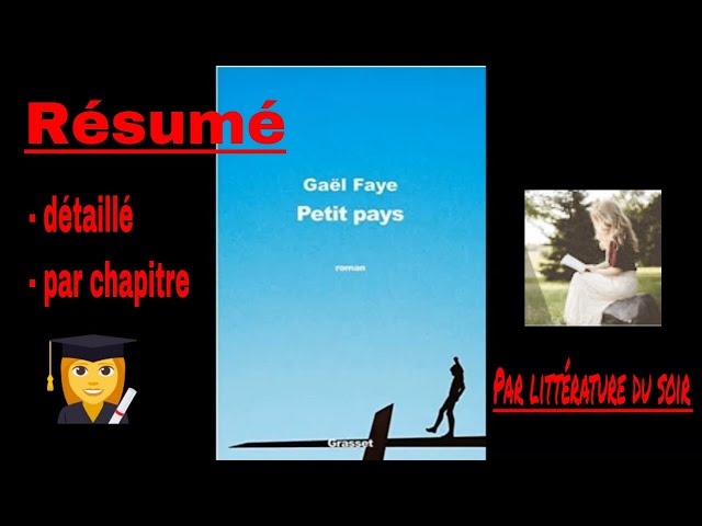 Petit Pays Gael Faye Résumé lilys.ai