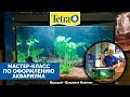 Мастер-класс с TETRA по запуску аквариума.