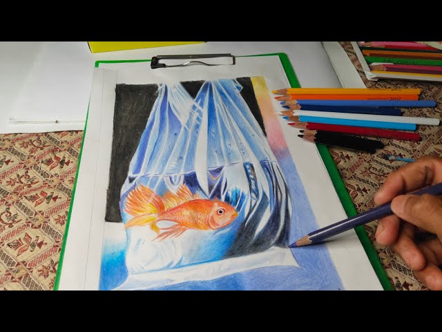 Drawing a gold fish in a plastic bag with Dom's colour pencil // cuteu  artraits 