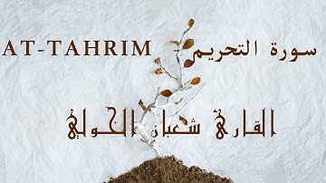 سورة التحريم مكتوبة/كاملة❤️ شعبان الخولي Shaaban ElKholy|جودة عالية
