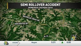 Numerous chickens dead in Allamakee County semi rollover