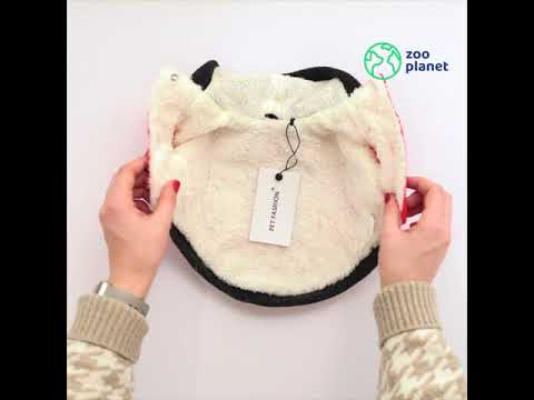 Pet Fashion Holiday осень 2021