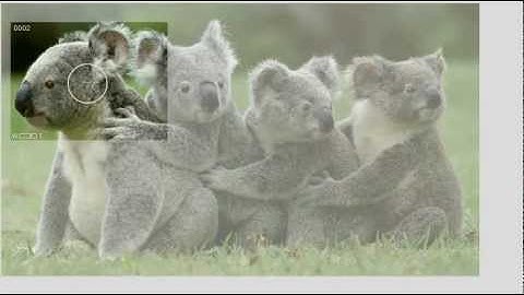 ZeroShake - The Virtual Tripod 3