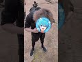 無人島でスイカ早食いチャレンジ 無人島でスイカ早食いチャレンジ