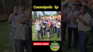 Tocata Cosmópolis  Sp  #pavaobonitoccb #musica #estiloprimitivosccb
