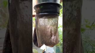CO2 mosquito trap