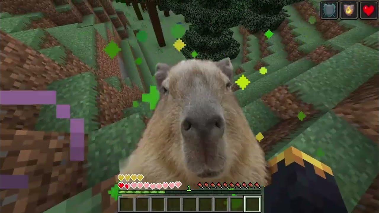 Necessário Comunidade de Minecraft Gcomu.. : necessário. CAPYBARA MAN  GCAPYBAR - minecraft capybara ORi - iFunny Brazil