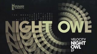 Velocity - Night Owl