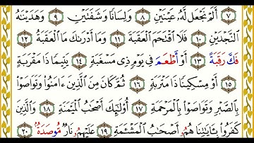 …‏Okasha Kameny سورة البلد برواية البزي عن ابن كثير المكي .. الشيخ عكاشه كميني حفظه الله