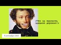 Буктрейлер к книге М.Визеля "Пушкин.Болдино.Карантин. Хроника самоизоляции 1830 года"