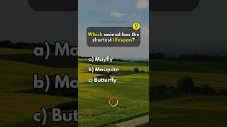 Animals Trivia Quiz Game. #quiz #quiztime