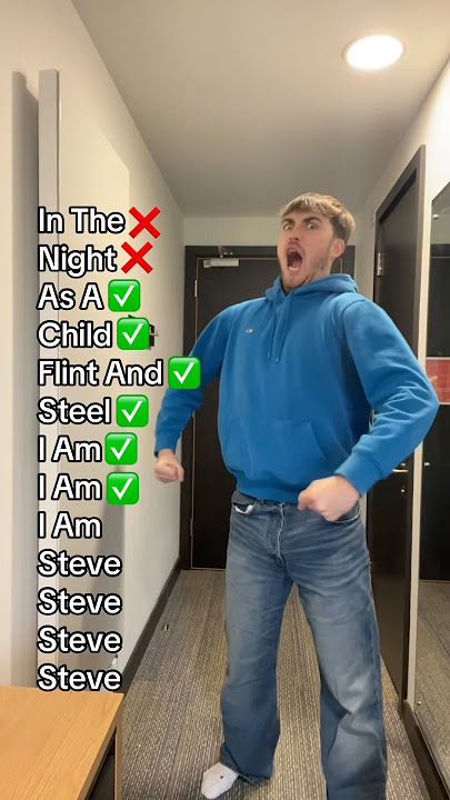 Fein Minecraft Remix