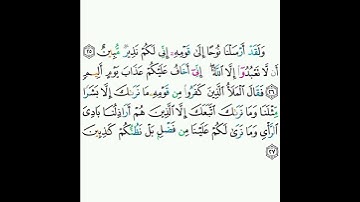 11 - سورة هود ٢٥-٢٧ - ماهر المعيقلي