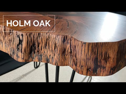 Video: Holm oak: paglalarawan