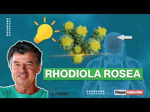 Video: Radiola rosea je všelékem na mnoho nemocí