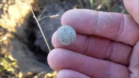 Minelab Equinox 800 Park 1 vs Field 2 vs Beach 1 relic hunting