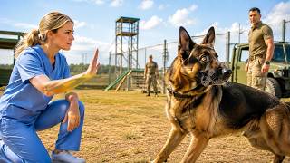 Military K9 Was Cleared for Death — Until One Nurse Spoke the Words Nobody Else Remembered