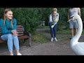 Удивительный лебедь общается с людьми. Ручная, умная, красивая птица. Парк Сокольники, Москва