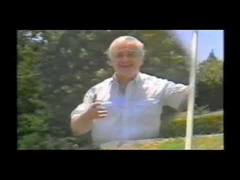 ოქროს უბანი Golden District