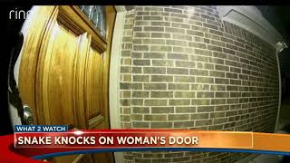 RING Doorbell Snake