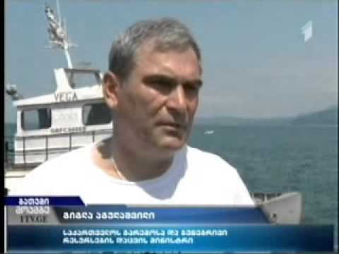 MOE: საქართველოში შავი ზღვის იქთიოფაუნის მონიტორინგი განხორციელდება