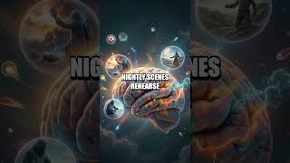 The Nightly Memory Lab: How Dreams Shape Mood and Meaning