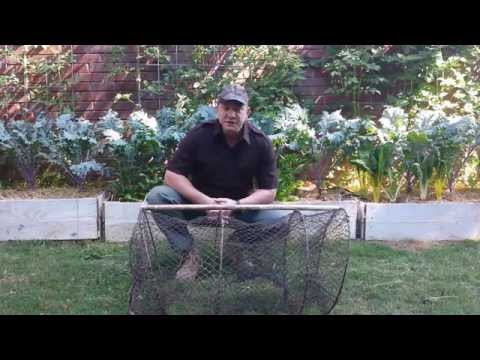 Video Catfish nets for sale