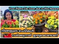 12 Golden Tips to Save Your Dying Plant | ചെടികൾ നശിക്കാതെ തടയാൻ 12 ടിപ്സ്